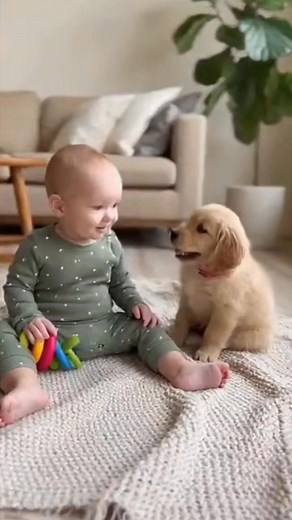 11K views · 220 reactions | Baby & Puppy Adventure Time! 藍AdorableMoments #CutenessOverload #FurryFriends | Cutest Funnn | Facebook