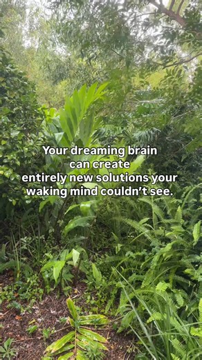 Melissa - Dream Hub | Your dreaming brain can create entirely new solutions your waking mind couldn’t see. So why are you only using half your intelligence?... | Instagram