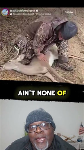 THATS not a pet its a wild animal