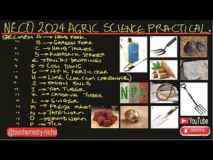 NECO 2024 - Agricultural Science Practical Specimen