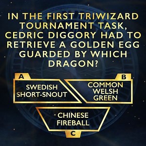 1.3K views · 42 reactions | 26 years ago today, Harry Potter and three other champions completed their first Triwizard Tournament task. Can you remember the name of the dragon Hufflepuff's Cedric Diggory faced? | Harry Potter and the Cursed Child | Facebook