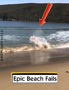 38K views · 732 reactions | Epic Beach Fails | Gretchen Rossi | Facebook