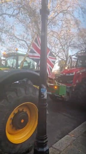 Wow | Gareth Wyn Jones