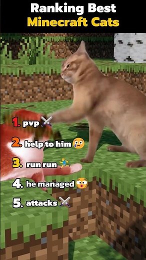Ranking the BEST Minecraft Cats 🐱🐾 | You Won’t Expect #1!