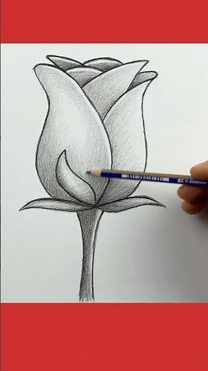 How to easily draw a rose in charcoal.