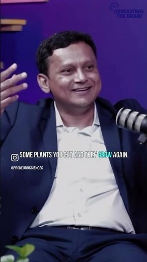 What is neuroplasticity?