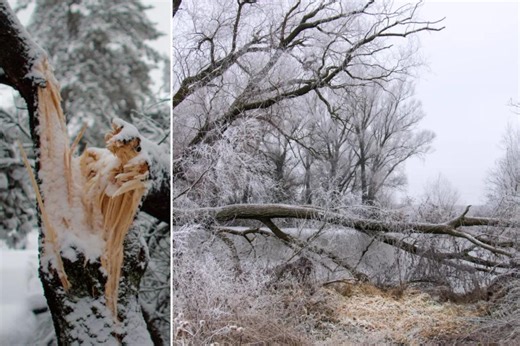 Meteorologists warn of ‘exploding trees’ as brutal cold snap expected to usher in subzero temps