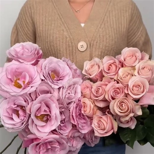 🌹 Direct Importer of Ecuadorian Roses Fresh-cut, export-grade roses sourced directly from Ecuador and offered at direct import prices. No middlemen. Wholesale only. 📍 Pickup at Sampaloc, Manila 📩 Message us to reserve supply. BFlora Manila Blooming Beyond Borders. #WholesaleFlowers #ImportedFlowers #FlowerSupplierPH #FloristPH #EventOrganizerPH #WeddingSupplierPH #HotelSupplierPH #FuneralFlowers #DirectImportFlowers #ManilaWholesale #BusinessPH | BFlora Manila