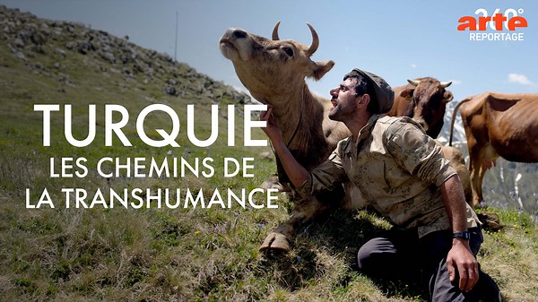 360° Reportage - Turquie, les chemins de la transhumance - Regarder le documentaire complet