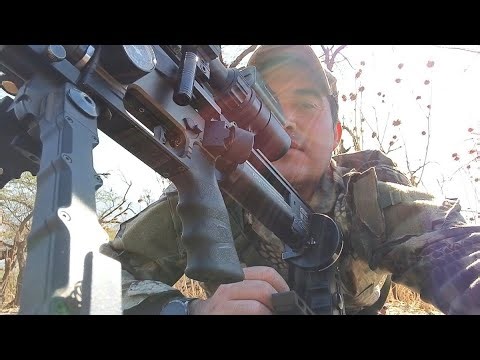 Cazando tortola y codorniz rifle pcp