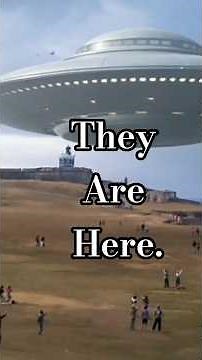 They are here!@solsolo12