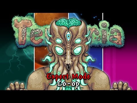 The Finale is Here | Summoner | Terraria Expert Mode Co-Op w/ ‪@theidiot01‬