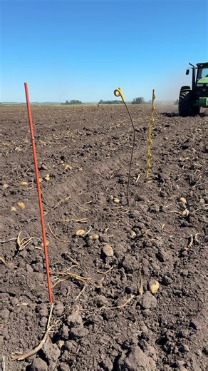 Pusimos tres varillas en la misma línea: ▪️ una de hierro ▪️ una plástica con alma de acero ▪️ y nuestra varilla de fibra Camperito Después pasamos por arriba con un tractor John Deere con cincel. El resultado habla solo. Las otras quedaron tiradas. La Camperito se dobló… y volvió a su lugar de trabajo. Porque en el campo las cosas tienen que ser así: flexibles, resistentes y listas para seguir trabajando. 🟧 Camperito Argentino Hecho por ganaderos, pensado para ganaderos. #C#CamperitoV#Varillas