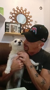 Today's DOG OF THE DAY is WHITEY!!!!! | The Bark Park