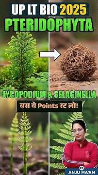 Pteridophyta: बस ये Points रट लो! 🌿 Lycopodium & Selaginella Facts | Science Planet
