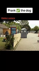 The classic "fake mirror" prank—watching the confusion is priceless! 🪞😂 #MindBlown #LOLForever #StarsAndSmiles #FunnyEveryday #GoodTimes | Municipal Tourism, Culture and the Arts Office