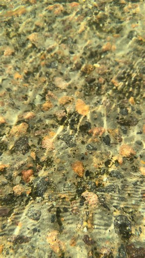 #5inchlift35s #modifiedn80s #racemeorshutup #dpfwho #n80saustralia