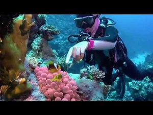 4K Scuba Diving in Sharm El Sheikh - Summer 2019 (Part 1)