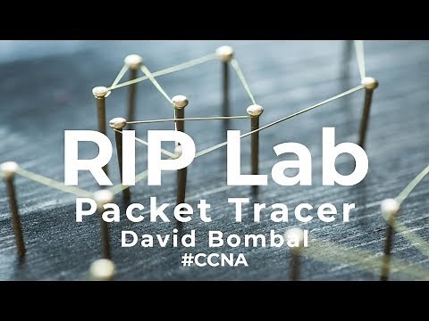 Cisco CCNA Packet Tracer Ultimate labs: RIP routing lab: Answers Part 1