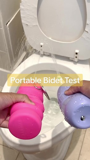 Portable Bidet Comparison: Toshi vs Brondell