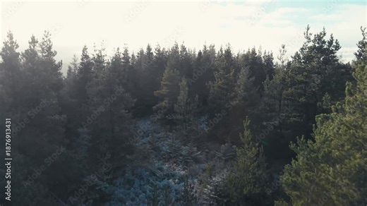 Wideranging Panoramic Shots Illustrating Richness And Survey Pursuits Of Various Landscapes