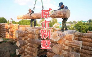 既不用钢筋，又不用水泥，用原木建造房子，看到成品真是太心动了