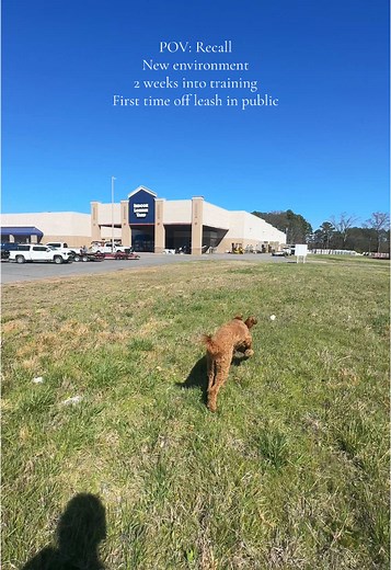 TAYLOR GEORGE on TikTok