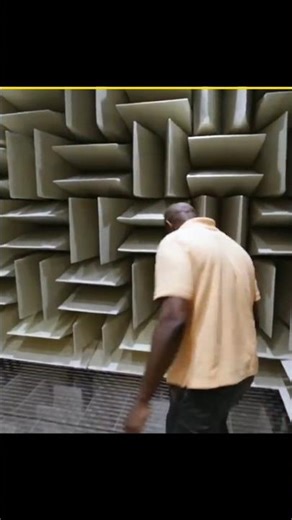 8 ऐसे मजेदार Facts जो आपने पहले कभी नहीं सुने होंगे#facts #amazingfacts #shortsfeed