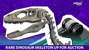 This dinosaur skeleton is the most complete deinonychus in the world and it’s for sale