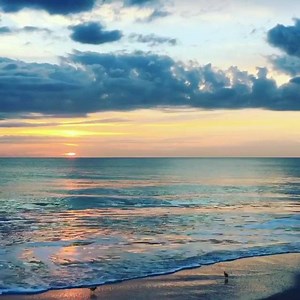 7.9K views · 578 reactions | With 22 miles of sun-drenched coastline, you’ll always find your perfect spot in the sand! | Visit Indian River County | Facebook