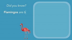 Facts Sample Download