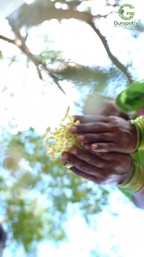 10K views · 134 reactions | Tan 90 hanging portable cold storage technology #coldstorage #coldchain #supplychain #transport #storage #storagesolutions #thermal #technology #iit #farm #farmlifestyle #agri #agritechnica #shorts #reels #trendingreels #trending #world #trendingtech #viralreels #viral #instagood #instagram #insta #fruits #vegetables #flowers #gunapatis #fbreels #fbreels23 #fbreelsfypシ゚viral #viralreelsfb #trendingreelsvideohow #coldstorage | Gunapatis | Facebook