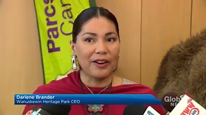 1.9K views · 44 reactions | WATCH: Wanuskewin Heritage Park is welcoming back an animal that hasn’t been seen on its lands for nearly 150 years. Plains bison have returned to the area. Kyle Benning has more about the conservation effort. READ MORE: https://globalnews.ca/news/6429085/bison-saskatoon-100-years/ | Global Regina | Facebook