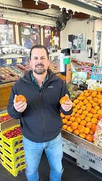 To Fuyu or not to Fuyu? How to choose a persimmon variety.