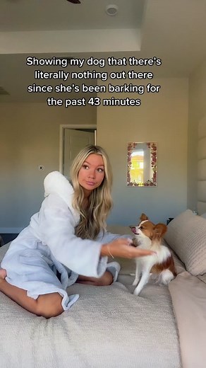 Understanding a Dog's Yapping Behavior