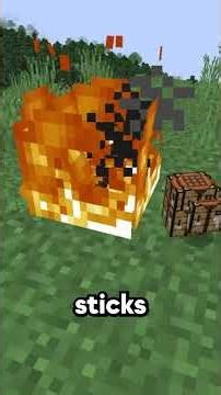 The Most Popular Item in Minecraft