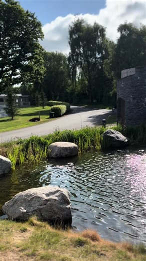 If this is your vibe, then Springwood is the right place #scotland #relax #holidayhomeforsale #scottishborders