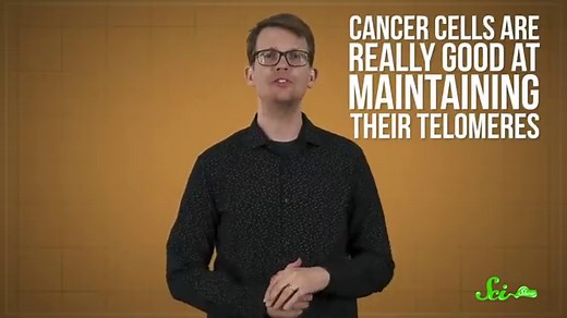 DNA testing companies offer telomere testing – but what does it tell you about aging and disease risk?