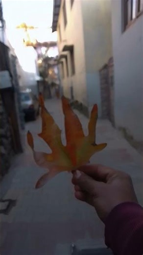 tum sa judha ho ka hum tabaha ho gayia