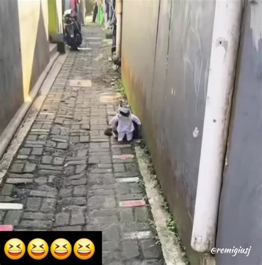 mora13850 (@pikachuuuu13850)’s videos with sonido original - mora13850