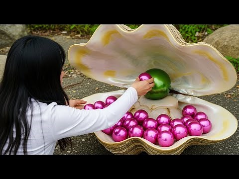 Harvesting Nature's Gems The Secret World of Giant Clam Pearls