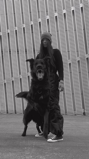 Me and the Devil - Australian Hell Hounds Mix Video