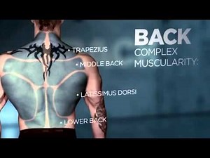 Bodybuilding.com Kris Gethin 12-Week Daily Trainer Week 1- Day 6