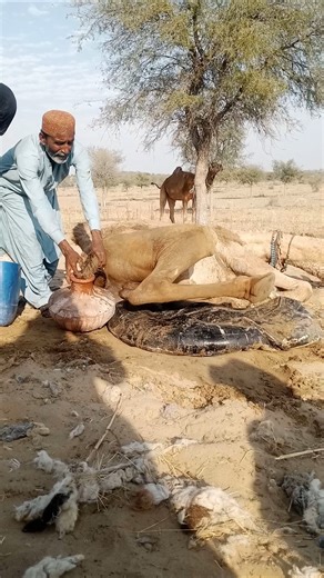 The First Drop of Mercy