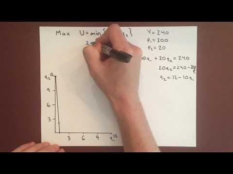 Optimal Choice Perfect Complements Ex.