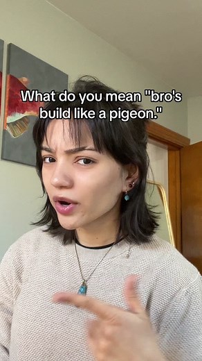 Pet Pigeons and Their Unique Humor