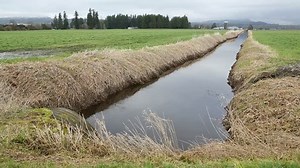Farm Land Drainage Ditch Canal On Stock Footage Video (100% Royalty-free) 5948324 | Shutterstock