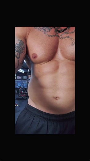 The Ark of MVC #viraliza #fypシ゚