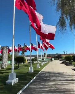 🔴 🇨🇱 Nuestra bandera chilena flamea orgullosa en Chiguayante! 🇨🇱 En cada rincón de nuestro querido país, la bandera nacional ondea con fuerza, simbolizando el orgullo, la historia y los valores que nos unen como chilenos. Hoy celebramos con el corazón lleno de patriotismo y amor por nuestra tierra. ¡Viva Chile! 🇨🇱 | Atentos Chile