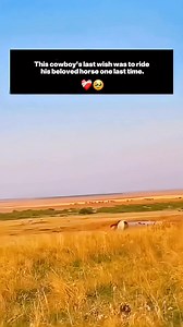 20K views · 82 reactions | Last trip with the Rider鸞 #reels #horses #sad #moments #fyp | Mbojo Horsee | Facebook